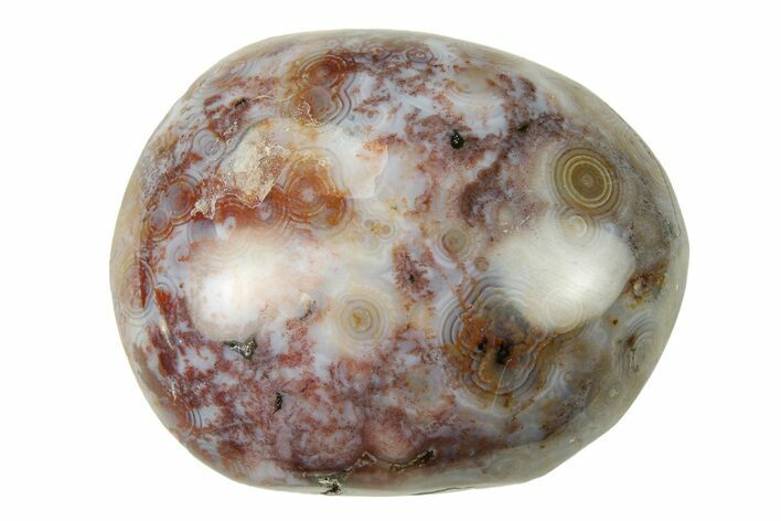 Polished Ocean Jasper Stone - New Deposit #277021